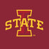 Iowa State University Primary Logo Moto E5 Play Skin