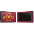Iowa State University Primary Logo Nintendo Switch Bundle Skin
