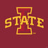 Iowa State University Primary Logo PS4 Slim Skin