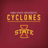 Iowa State University Athletic Text Amazon Echo Skin