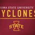 Iowa State University Athletic Text Dell Inspiron Skin