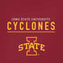 Iowa State University Athletic Text iPhone XR Skin