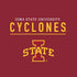 Iowa State University Athletic Text Moto E5 Play Skin