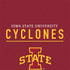 Iowa State University Athletic Text Otterbox Commuter Galaxy Skin