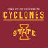 Iowa State University Athletic Text PS4 Slim Skin