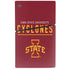 Iowa State University Athletic Text PS5 Slim Disk Console Skin