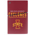Iowa State University Athletic Text PS5 Slim Digital Edition Bundle Skin