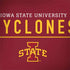 Iowa State University Athletic Text HP Spectre Skin