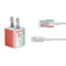 Iran Flag Distressed iPhone Charger (5W USB) Skin