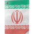 Iran Flag Distressed PS5 Digital Edition Console Skin