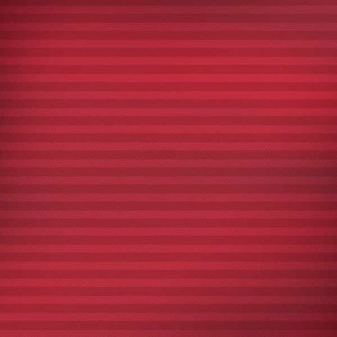 Iran Soccer Flag iPhone X Skin