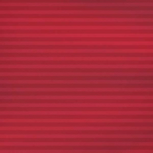 Iran Soccer Flag iPhone XS Max Skin