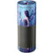 Rachel Anderson Iridescent Amazon Echo Skin