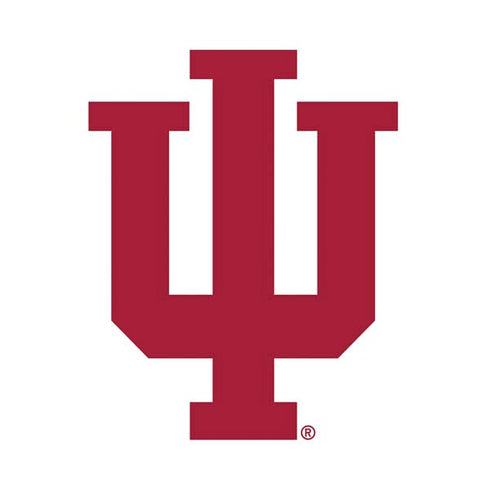 Indiana University IU Logo White PS4 Slim Skin