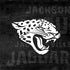 NFL Jacksonville Jaguars Black & White Nintendo 2DS XL (2017) Skin