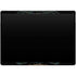 Liquid Blue NFL Jacksonville Jaguars Running Back Surface Pro 9 Skin