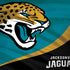 NFL Jacksonville Jaguars HP Spectre Skin