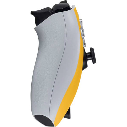 Adult Swim Adventure Time Jake The Dog PlayStation Portal Remote Player Skin