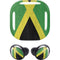 Jamaica Flag Distressed Galaxy Buds Pro Skin