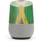 Jamaican Flag Dark Wood Google Home Skin