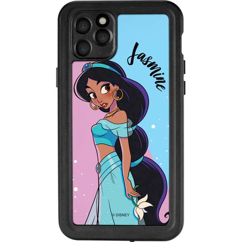 Disney Princess Jasmine Art iPhone 11 Pro Max Waterproof Case