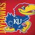University of Kansas Jayhawks KU Dell Alienware Skin