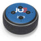 Joe 2020 Political Amazon Echo Dot Skin