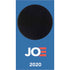 Joe 2020 Political Xbox Series S Skins