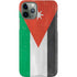 Jordan Flag Distressed iPhone 11 Pro Lite Case