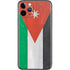 Jordan Flag Distressed iPhone 11 Pro Skin