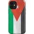 Jordan Flag Distressed iPhone 12 Mini Impact Case