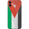 Jordan Flag Distressed iPhone 12 Mini Skin