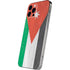 Jordan Flag Distressed iPhone 12 Pro Max Skin