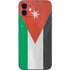 Jordan Flag Distressed iPhone 12 Skin