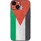 Jordan Flag Distressed iPhone 13 Mini Skin