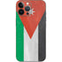 Jordan Flag Distressed iPhone 13 Pro Max Skin