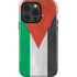 Jordan Flag Distressed iPhone 15 Pro Impact Case
