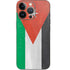 Jordan Flag Distressed iPhone 15 Pro Skin