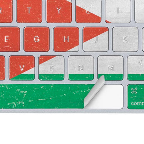 Jordan Flag Distressed Magic Keyboard Skin