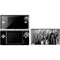 The Justice League (2017) Justice League Black and White DS Lite Skin