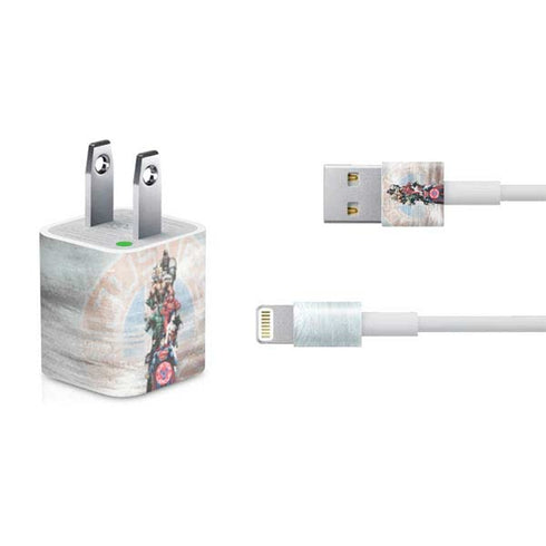 Justice League Heroes Stance 2 iPhone Charger (5W USB) Skin