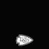 NFL Kansas City Chiefs Shutout iPhone XR Skin