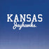 University of Kansas Jayhawks iPhone XR Skin