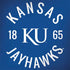 University of Kansas Jayhawks KY 1865 HP Spectre Skin