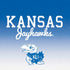University of Kansas Jayhawks PS4 Controller Skin