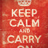Keep Calm and Carry On Distressed iPhone X Pro Case