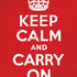 Keep Calm and Carry On iPhone XR Skin