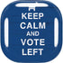 Keep Calm And Vote Left Galaxy Buds Live Skin