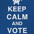 Keep Calm And Vote Left iPhone XR Pro Case