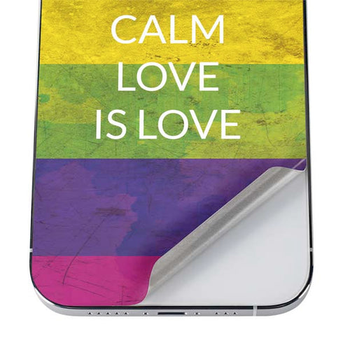 Keep Calm Love Is Love iPhone 12 Pro Skin